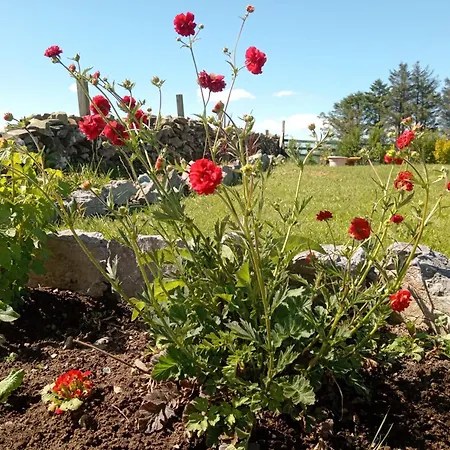 Corrib View * Clonbur