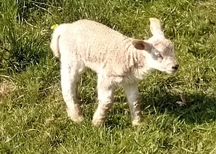 Corrib View Holiday home Clonbur