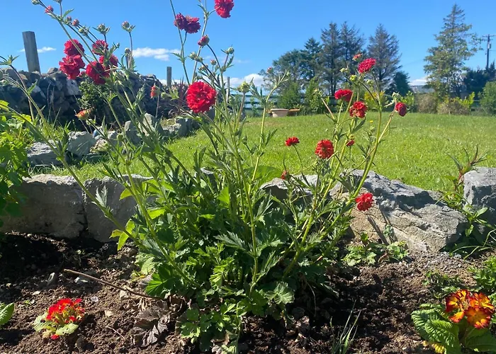 Holiday home Corrib View