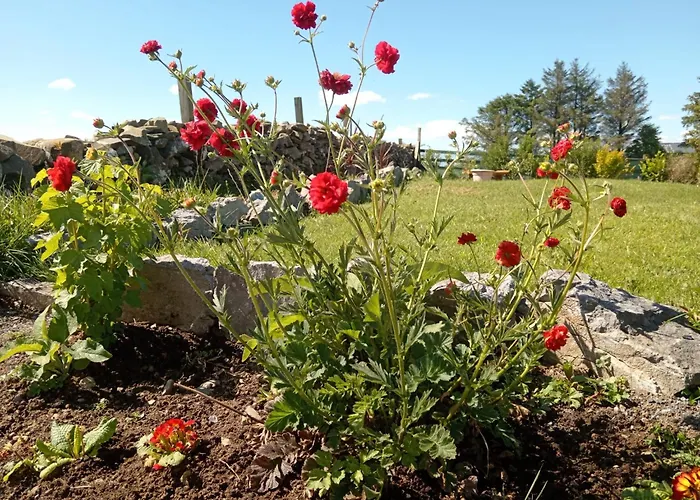 Corrib View * Clonbur